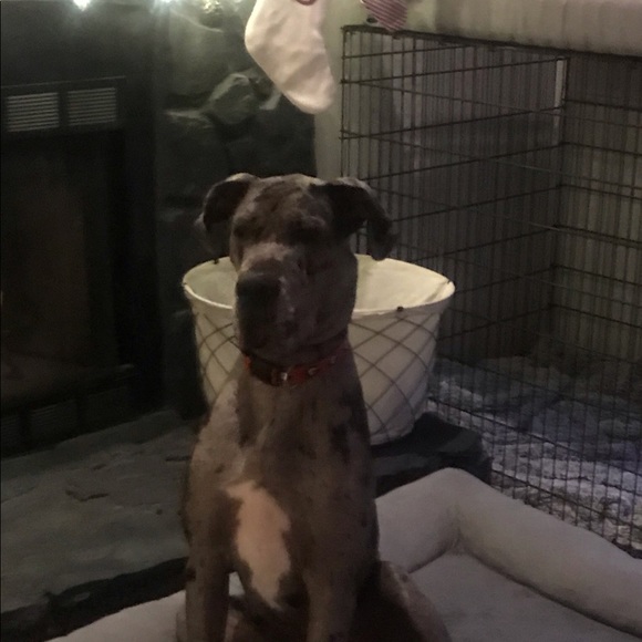 Meet your Posher, Reeves - Picture 1 of 1